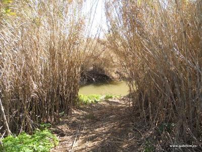 Río Guadajira (Aceuchal)