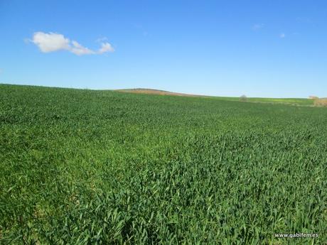 Río Guadajira (Aceuchal)