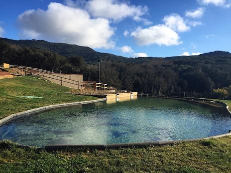 aire de vallromanes 4