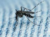 convocado reunión emergencia virus zika