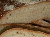 chapata (ciabatta)
