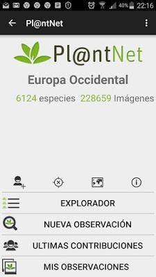 Pl@ntNet. Una app para identificar plantas con imágenes Pl@ntNet. Una app para identificar plantas con imágenes