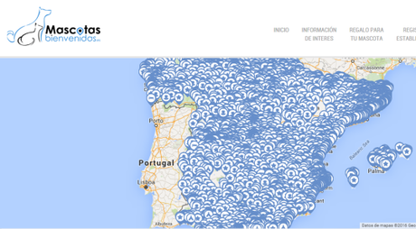 Mascotas bienvenidas en establecimientos Petfriendly