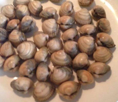 QueComemosHoy, ComoSeHIzo, PasoAPaso, ParaChuparseLosDedos, Arroz, Paella, Paella Marinera, Paella SoloYo, Mejillones Al Vapor, Berberechos Al Ajillo, Fresas Y Kiwis, Blog de Cocina, Solo YO, Blog Solo Yo, 