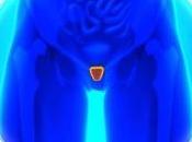 medicamentos para próstata ¡Totalmente naturales!