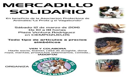 mercadillo solidario ciempozuelos