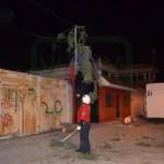 Fuertes vientos derriban árboles y postes en San Luis Potosí