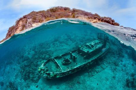 Estas son las mejores fotos acuáticas del año