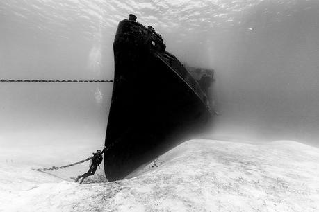 Estas son las mejores fotos acuáticas del año