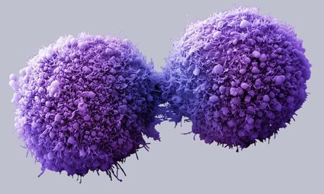 Avance en investigación sobre el cáncer