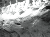 Importancia determinación medidas eficiencia ganadería carne