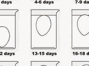 Como Saber Huevo Fresco