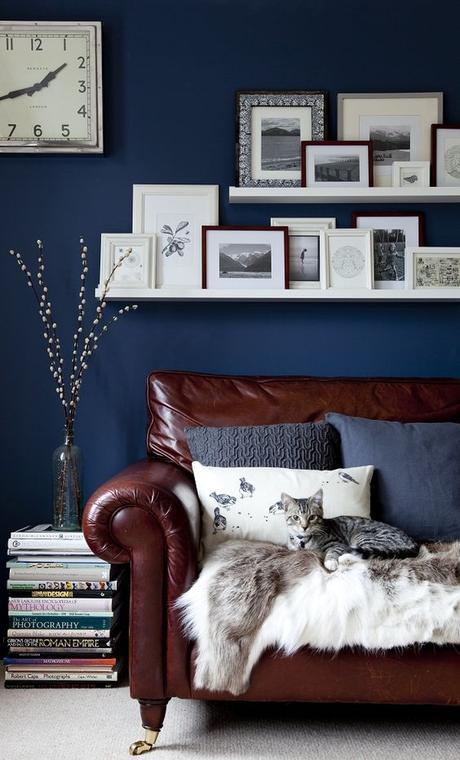 blue cushion brown sofa