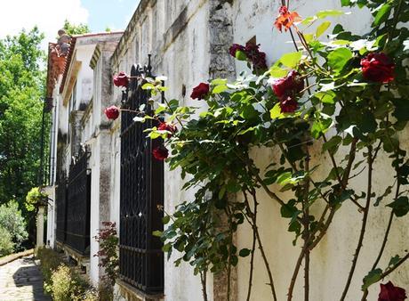 El Paraíso de Manuel {La Cumbre, Córdoba}