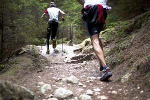 plantillas deportivas