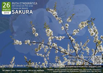 Ruta Etnográfica SAKURA. 