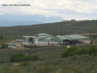 Las 10 Maravillas de Villacarrillo (Jaén) Las 10 Maravillas de Villacarrillo (Jaén)