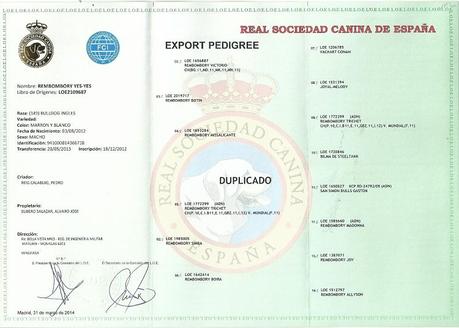 Muestra de un certificado de pedigree emitido por la Real sociedad Canina de España 