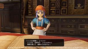 Dragon Quest Heroes II 19