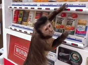 ¿Pueden máquinas vending ofrecer alimentos bebidas saludables?