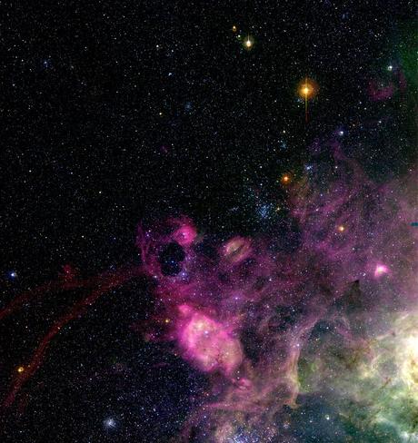 Atrapado en la telaraña