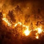 Incendios forestales