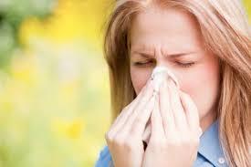 Cómo combatir la alergia al polen todo el año