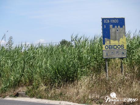 Óbidos, con nombre de cuento IMG_0073-16