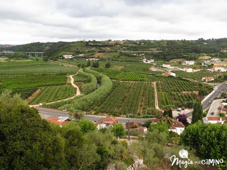 Óbidos, con nombre de cuento IMG_0160-27