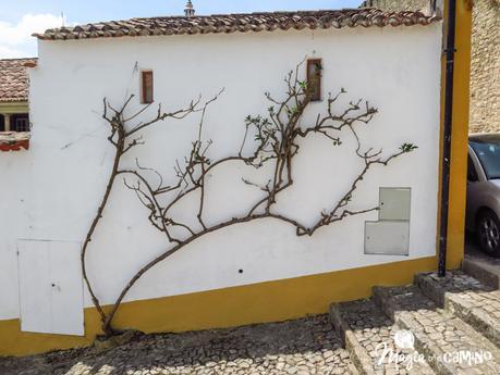 Óbidos, con nombre de cuento IMG_0044-10