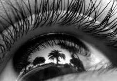 El paraíso es ahora