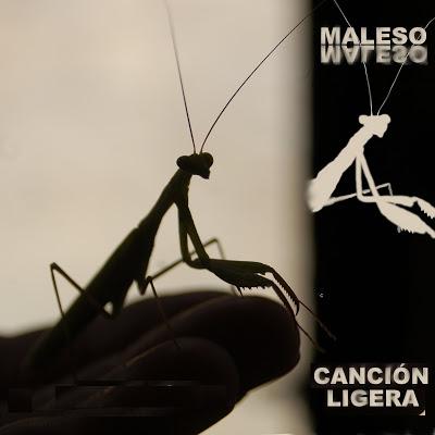 Canción Ligera (2016) El nuevo disco de Maleso