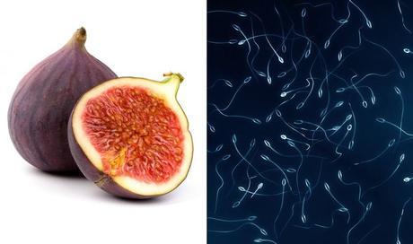 Frutas y verduras: alimentos beneficiosos similares a nuestro cuerpo fichi spermatozoi