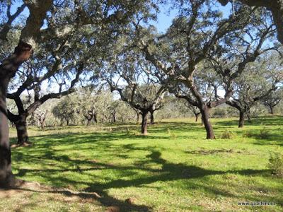 Ruta Contrabandista 2016