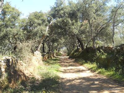 Ruta Contrabandista 2016