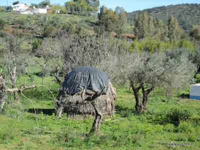 Ruta Contrabandista 2016