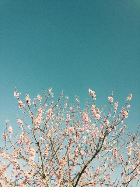 1545726_10153654079206137_4134117140098948359_n