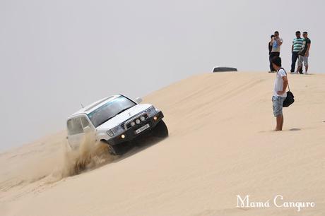 LA GRULA PREGUNTA A: MAMÁ CANGURO LA GRULA PREGUNTA A: MAMÁ CANGURO