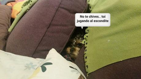 Estamos tan Agustito CXX. Jugando al Escondite ... #funny Estamos tan agustito