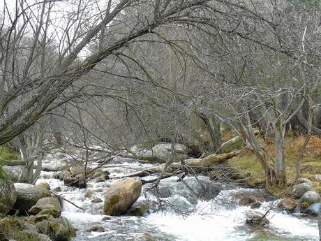 DE   PASEO   POR    LA    SIERRA    DE   LA   PEDRIZA