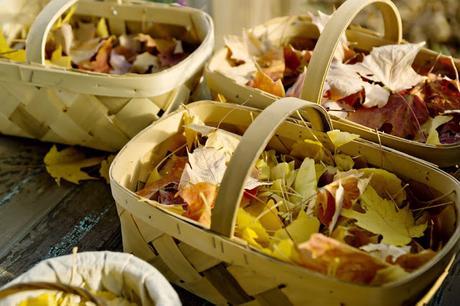 →Una Bodola Molona llena de Espigas de Trigo← →Una Bodola Molona llena de Espigas de Trigo←