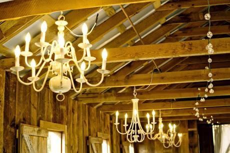 →Una Bodola Molona llena de Espigas de Trigo← →Una Bodola Molona llena de Espigas de Trigo←