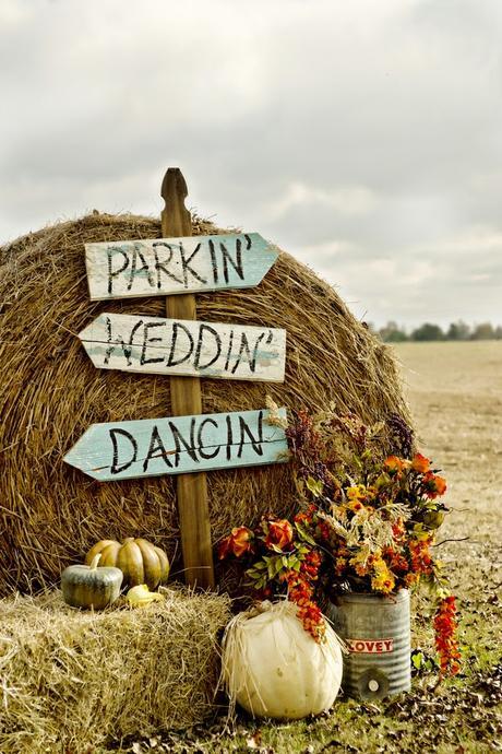 →Una Bodola Molona llena de Espigas de Trigo← →Una Bodola Molona llena de Espigas de Trigo←