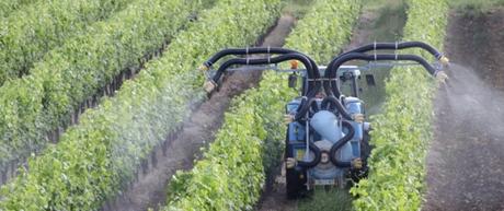 Vecinos de campos de cultivo amenazados por los pesticidas.