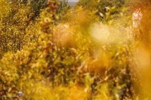 Las mejores fotos de boda del año _0023