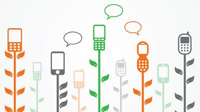 Las plantas ya usaban internet mucho antes que nosotros