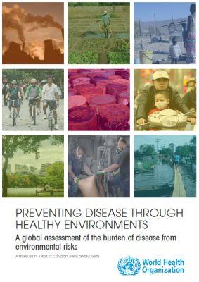Ambientes saludables y prevención de enfermedades: Hacia una estimación de la carga de morbilidad atribuible al medio ambiente (OMS)