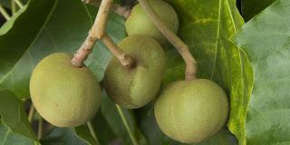 KIN COSMETICS, set de viaje Kinessences