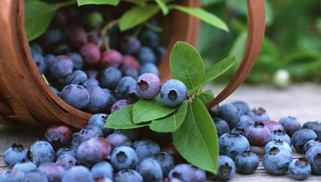 9 efectivos remedios caseros para infecciones urinarias