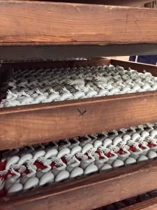 Visitamos la fábrica de juguetes Comansi + Sorteo